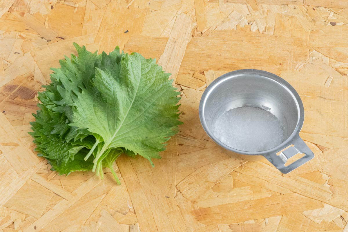 大葉の塩漬けで使用した材料