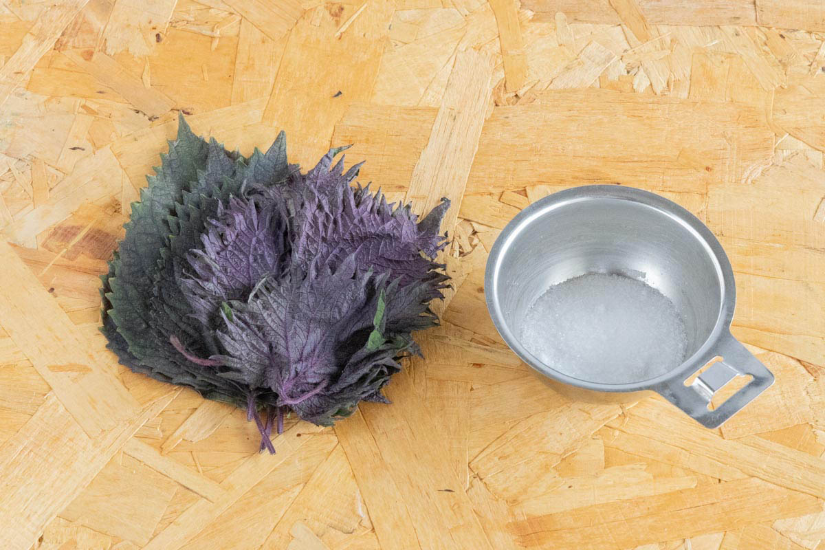 赤しその塩漬けで使用した材料