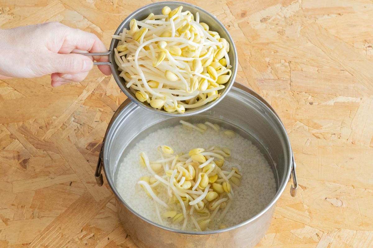 米に豆もやしをのせて炊く