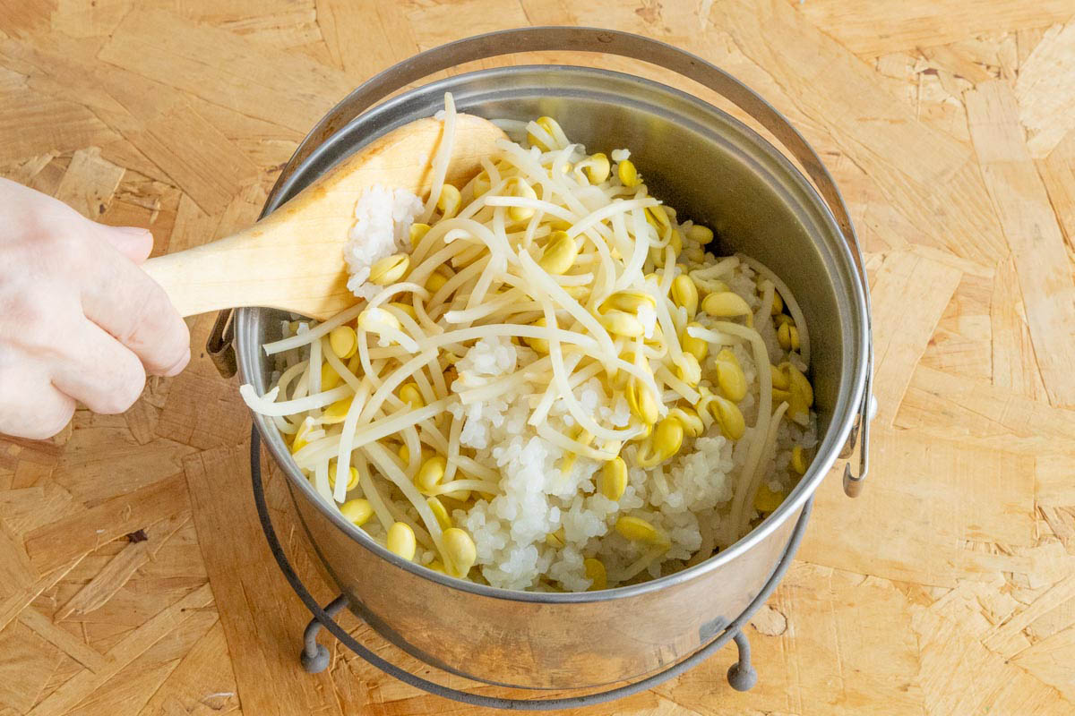 炊き上がった豆もやしごはん
