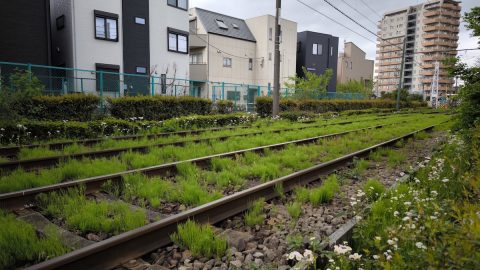 線路脇の細道を歩いて体感した都電荒川線と沿線エリアの魅力【プロハイカー斉藤正史の東京GREEN WAY  FILE.47】