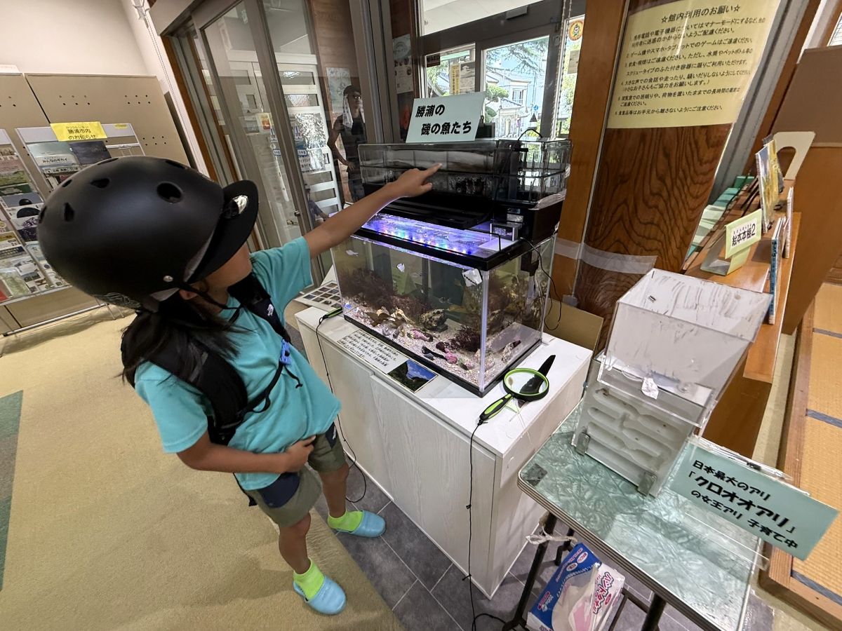 生き物の飼育展示
