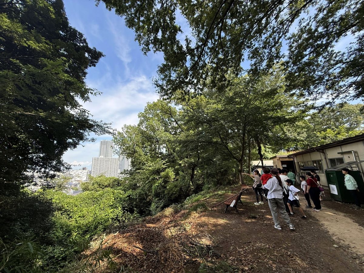 高台からの景色