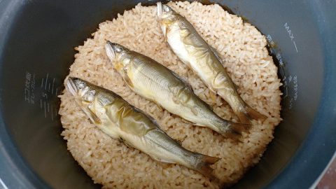 上品さ際立つ一品！釣った天然鮎で炊き込みご飯を作ってみた