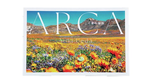 写真集『ARCA』著者・ネイチャーフォトグラファー上田優紀さんにインタビュー！