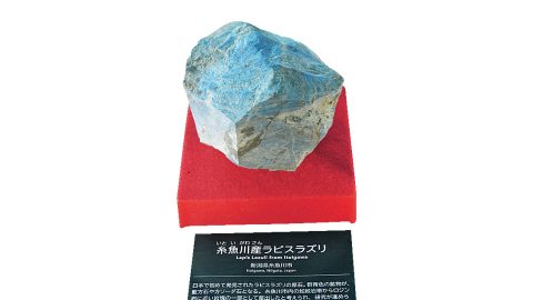 フィールドで石を探して館内で学ぶ！日本の国石ヒスイと巨大地層を体感せよ
