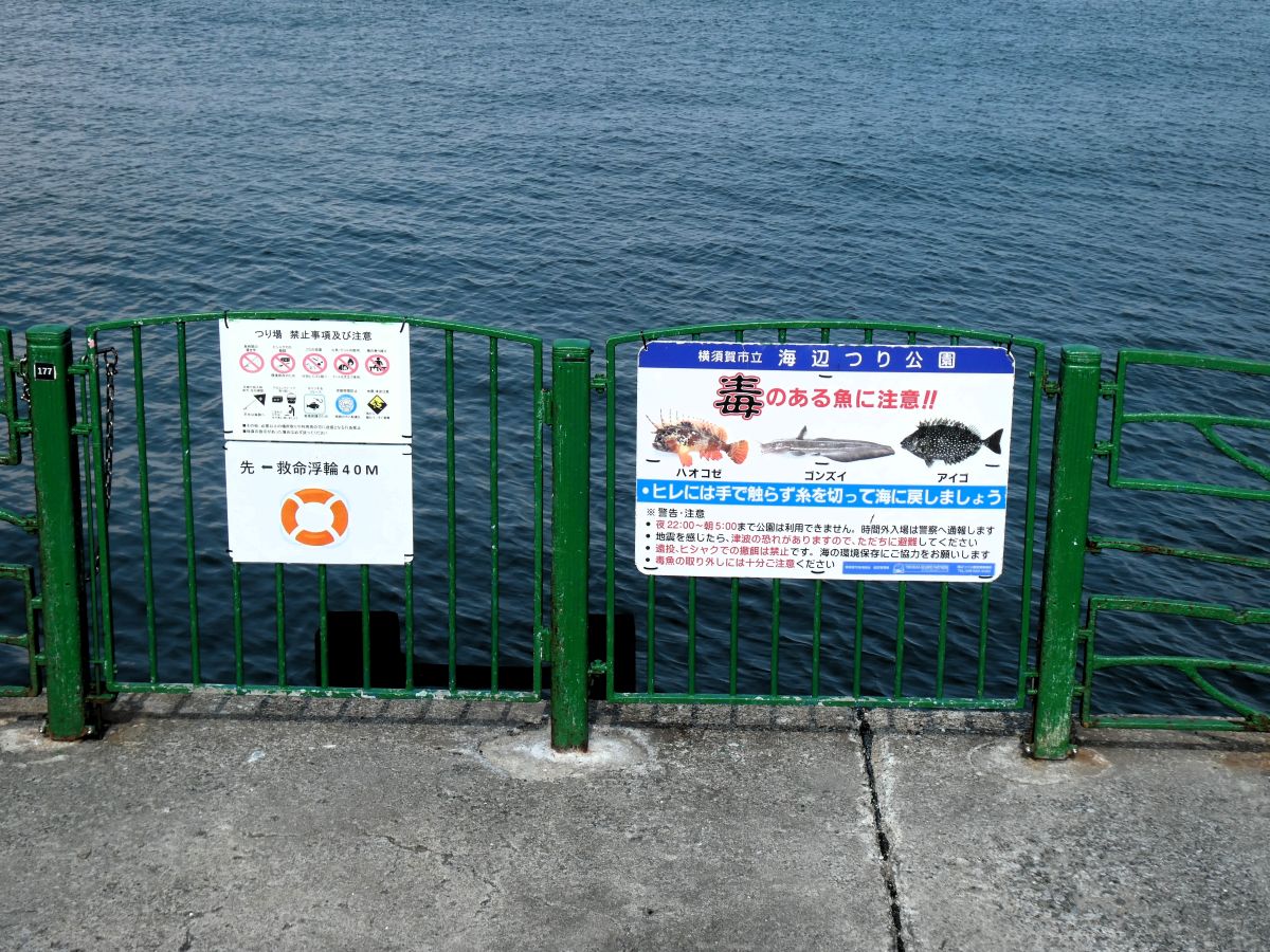 危険な魚を教えてくれる看板