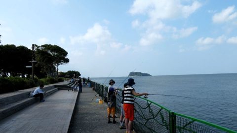 横須賀「海辺つり公園」は入園無料で安全！真夏の夕方に家族で海釣りを楽しんできた