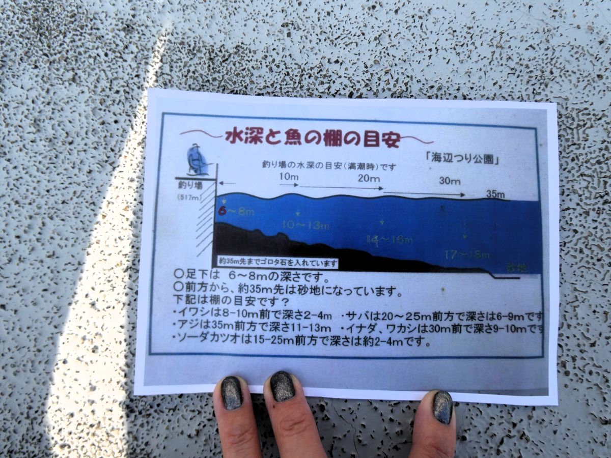 公園内の水深と魚種を書いた紙
