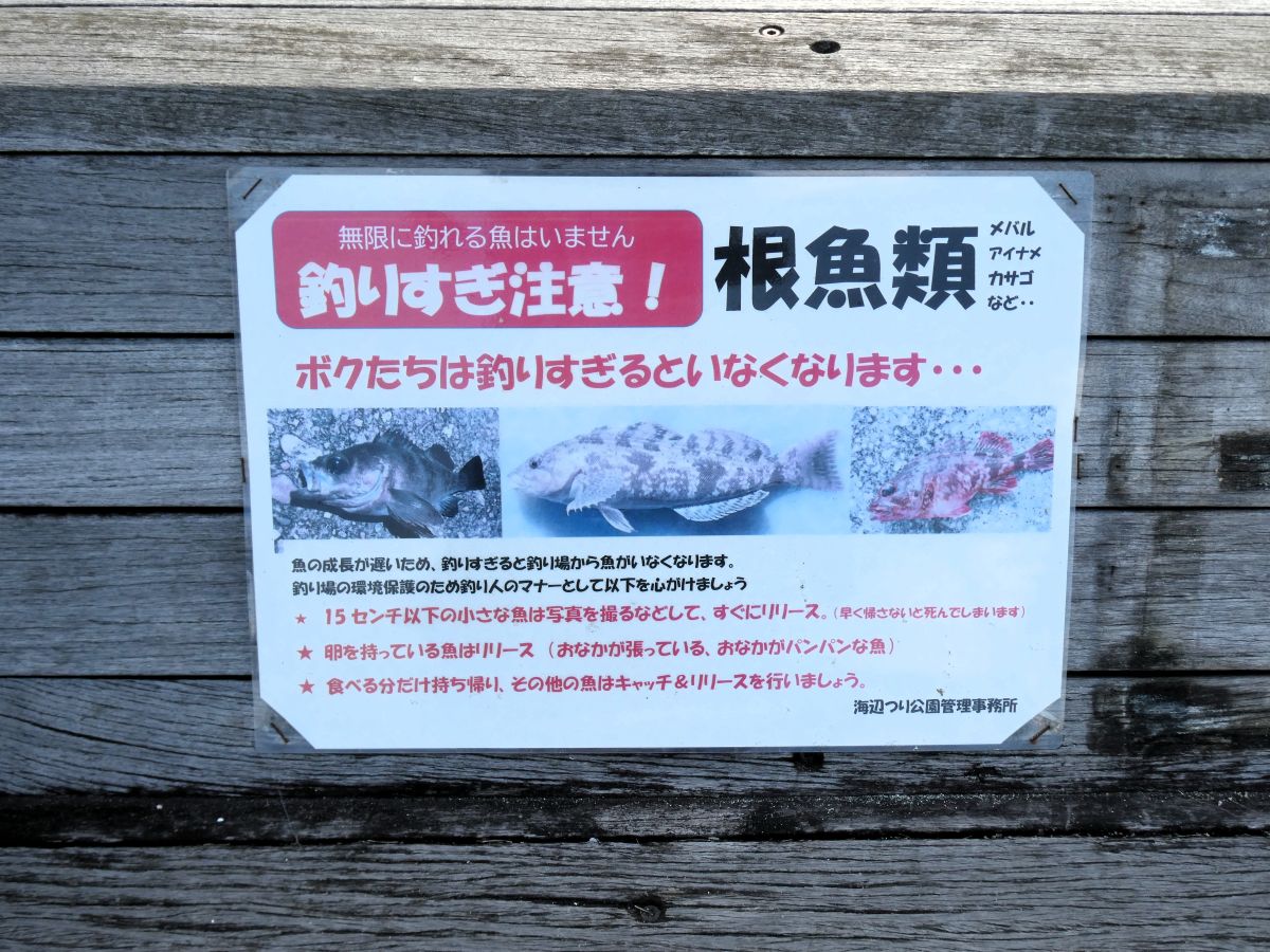小さい魚のリリースを促す表示