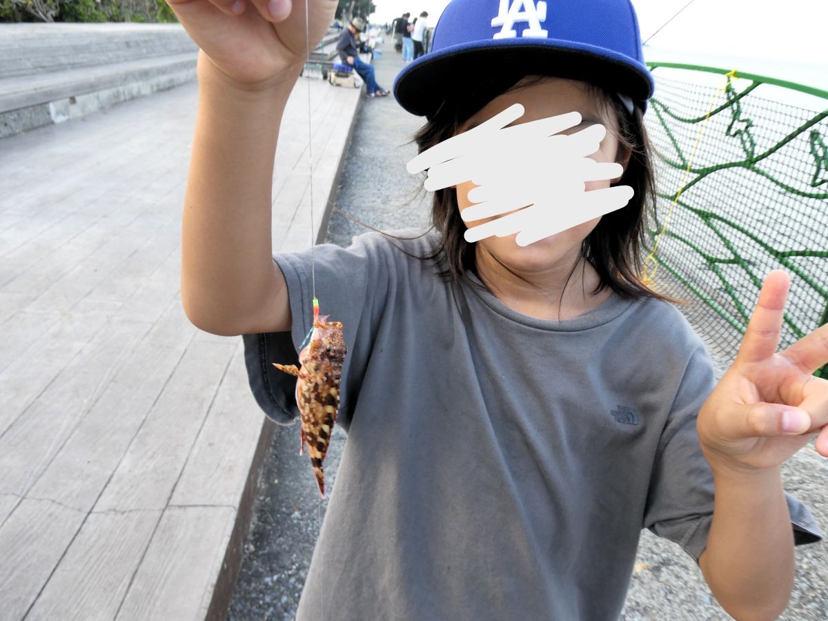 次男が釣った小さなカサゴ