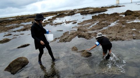 千葉県勝浦市にある「海の博物館」。磯遊びの基本を学べるイベントに家族で参加！