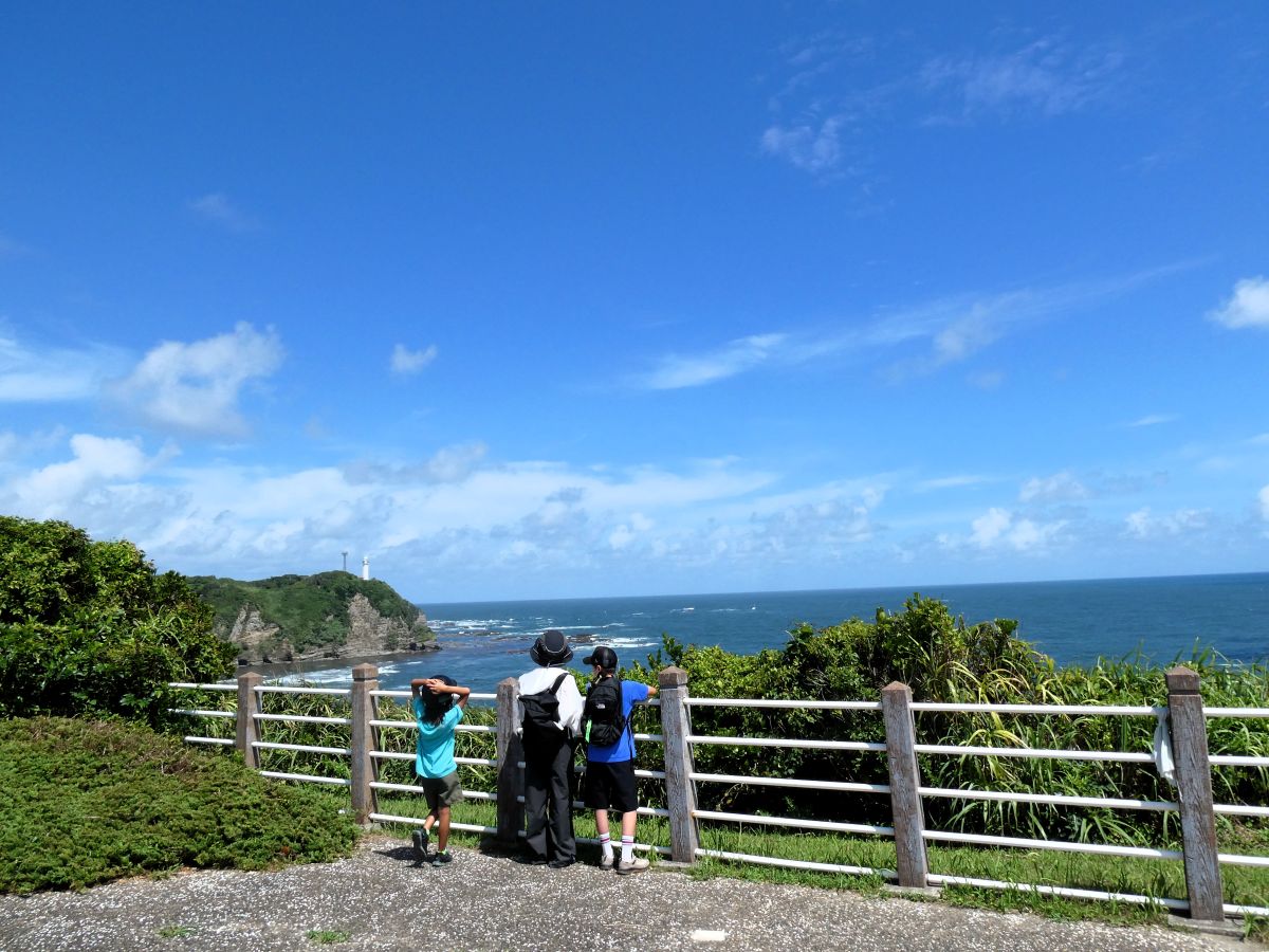 高台からの眺望