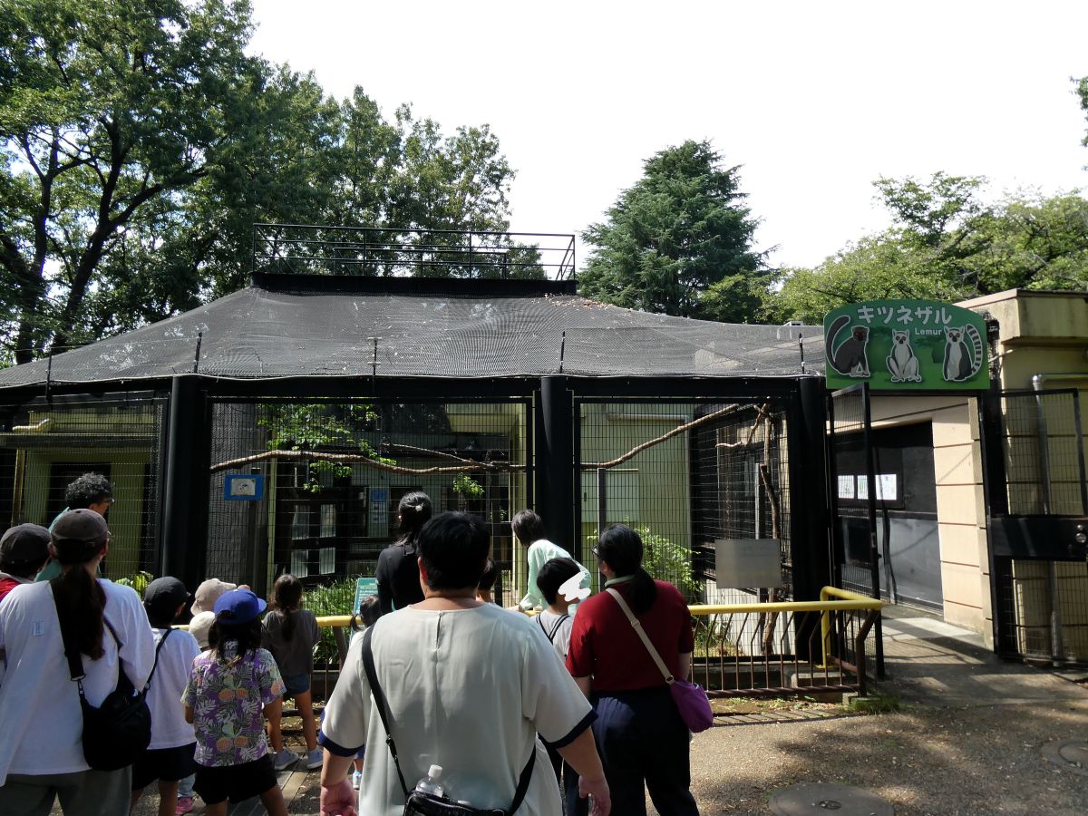 動物園内を歩く