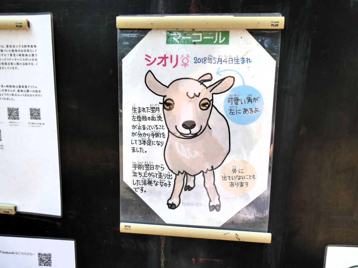 マーコールのシオリちゃんのパネル