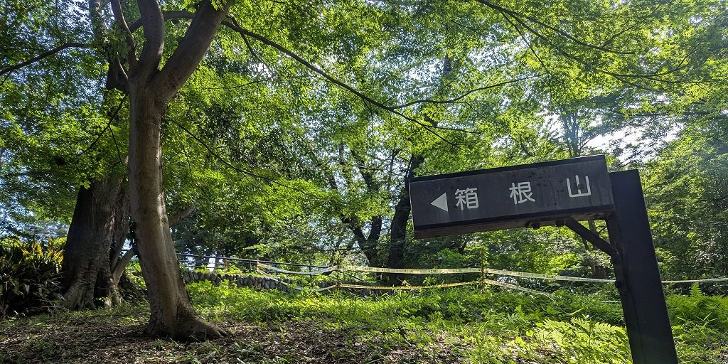 「そのとき」はあっけなくやってきた！ 戸山公園“山手線の内側最高峰”登頂記【鈴木みき「都立公園へ行こう！」3】