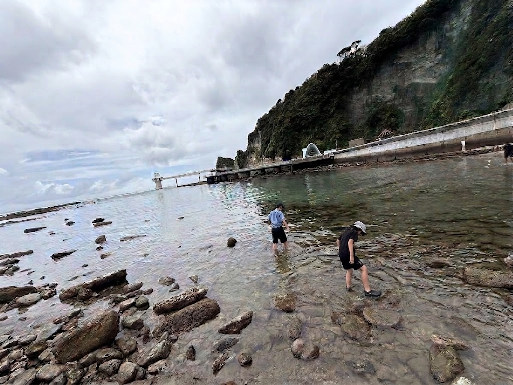 磯遊びする子ども