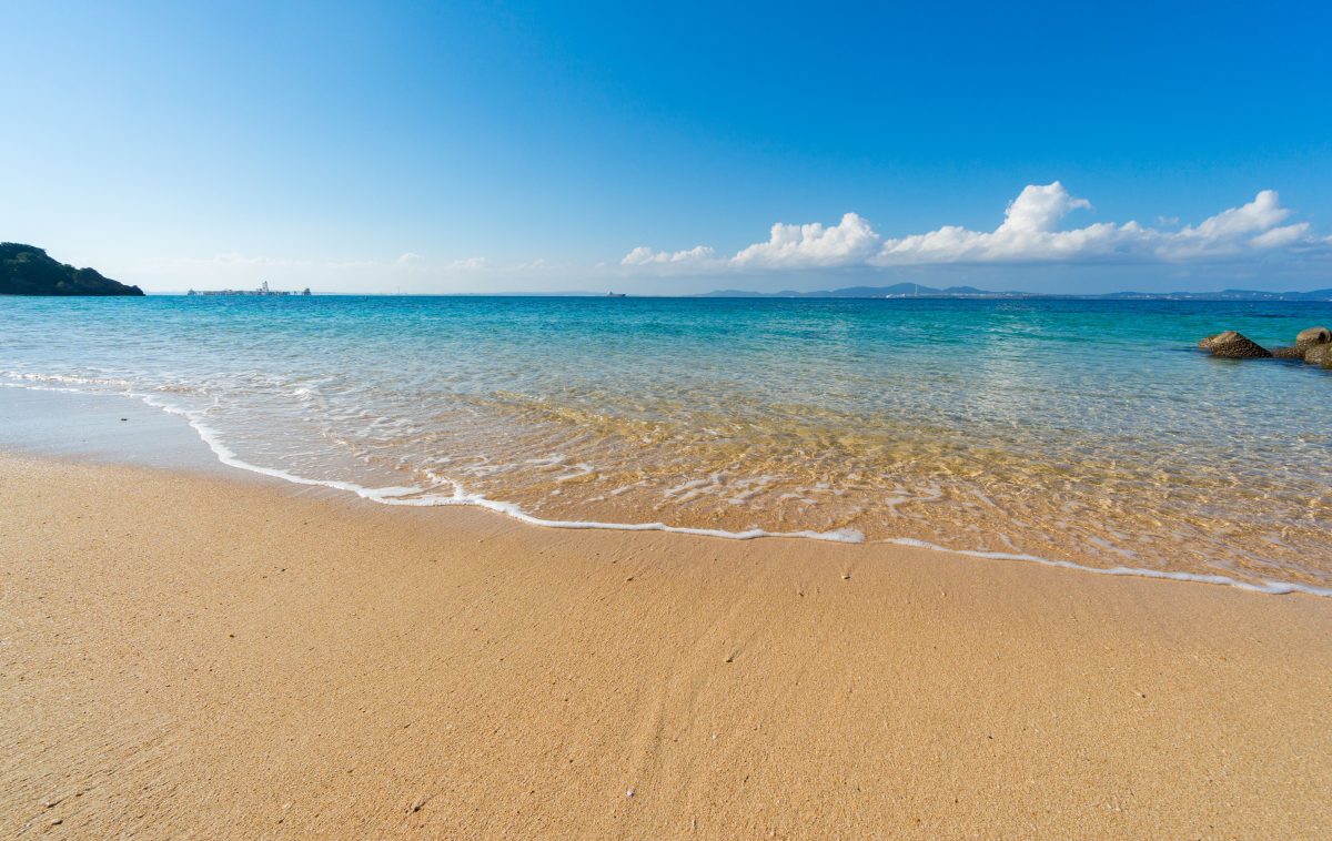 海
