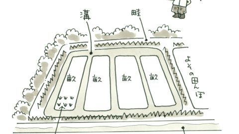 土を触れば心身が癒される……気がしないんですけど！不耕起栽培に立ちはだかる「おとんの壁」