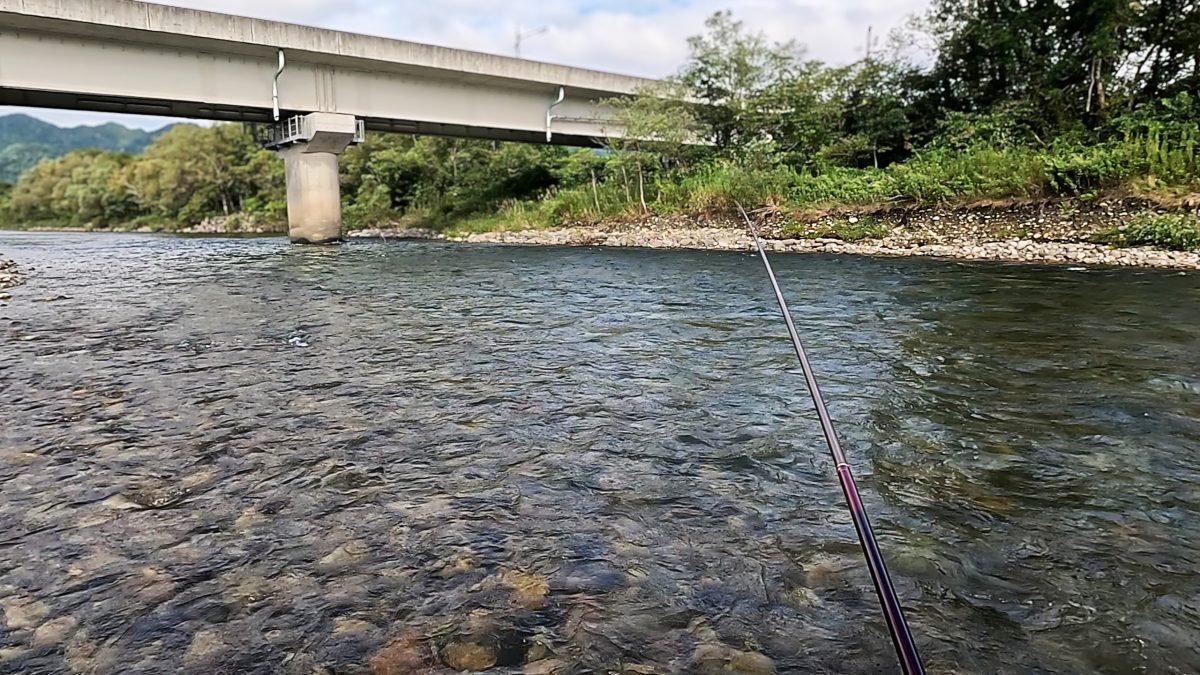 三面川本流
