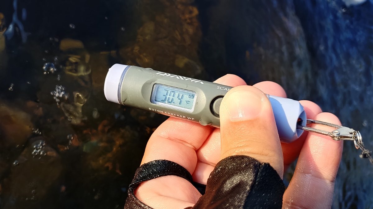 水温計(30.4℃)
