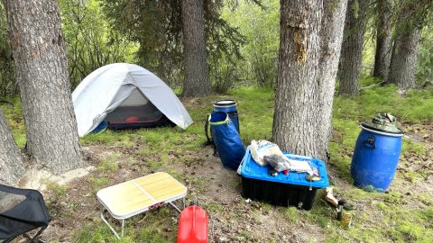 人生二度目のカヌー旅で野営中、でっかい動物が川にやってきた！