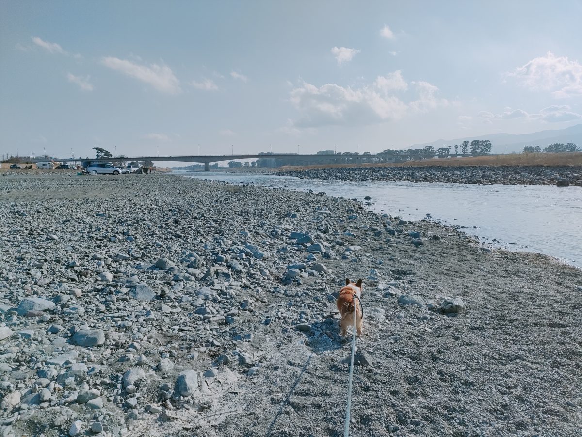 酒匂川健楽ふれあい広場
