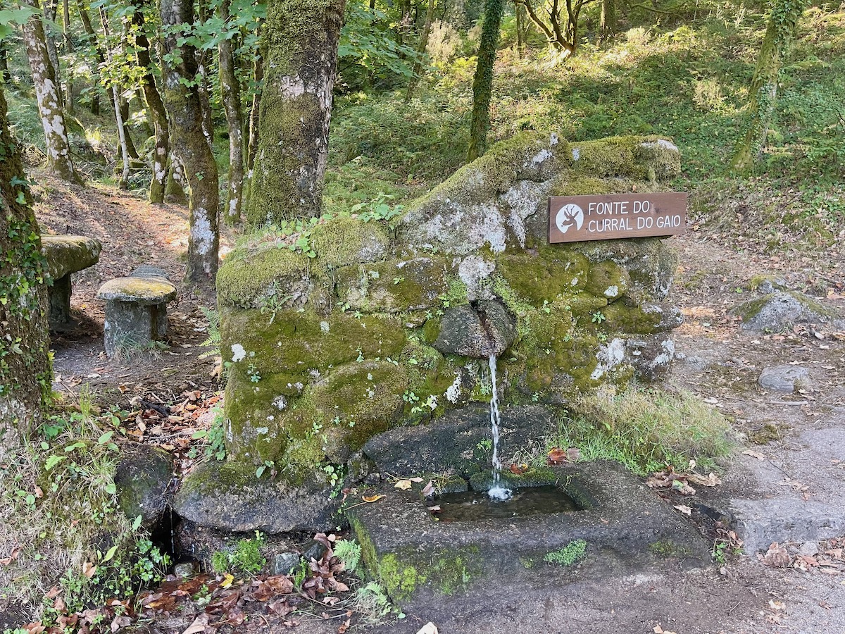 水汲み場