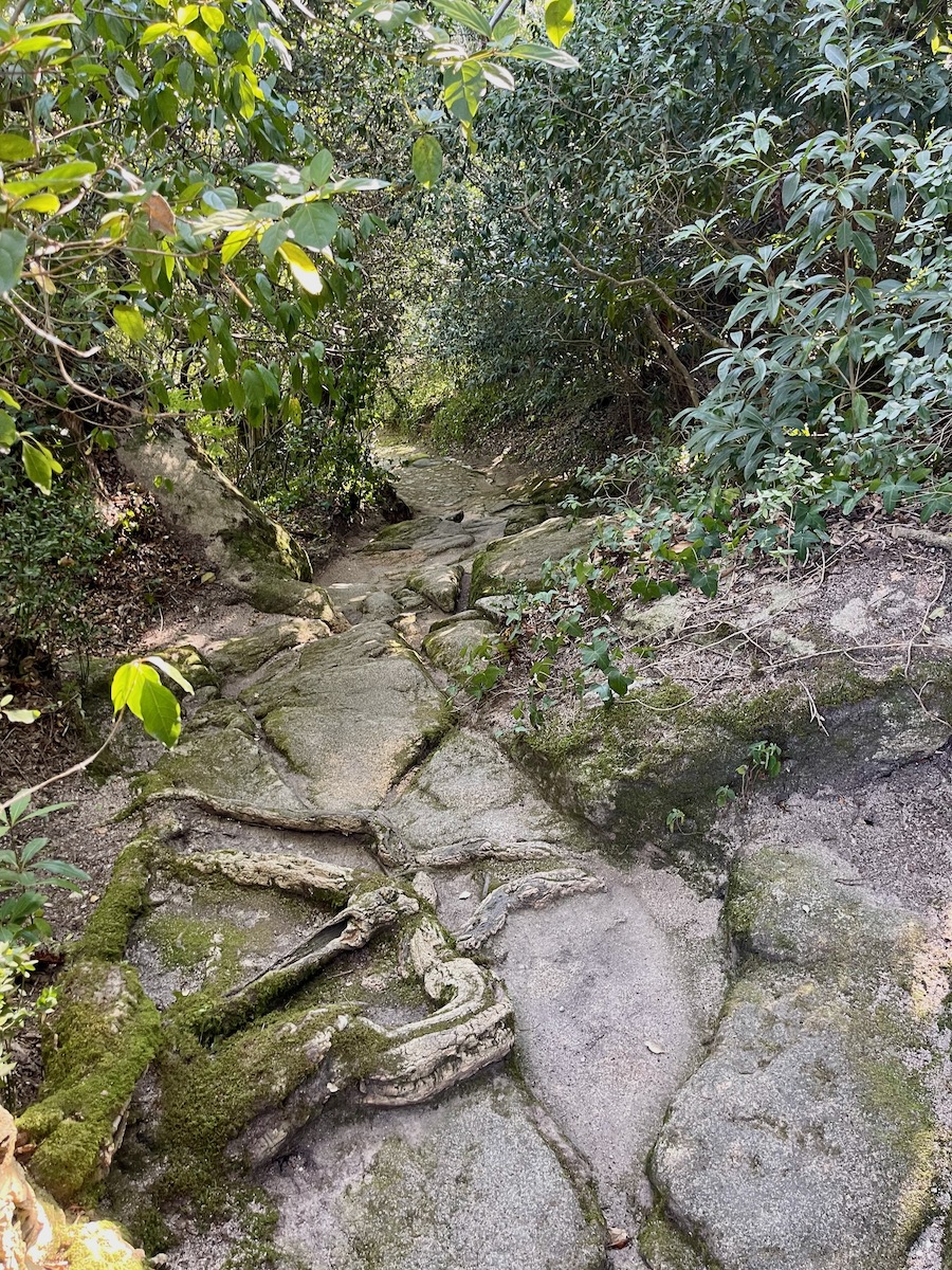 capuchos