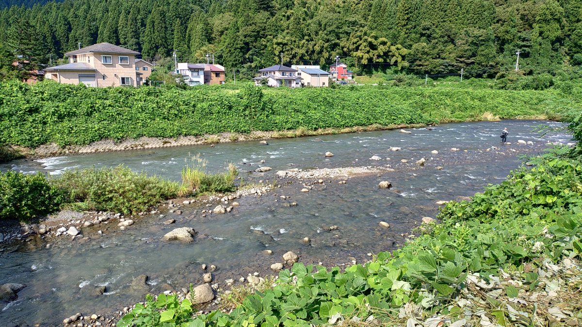 川の下見中に見つけた釣り人
