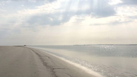 寒くて冷たくて風が強い北海って泳げるの？オランダならではの海遊びを紹介します