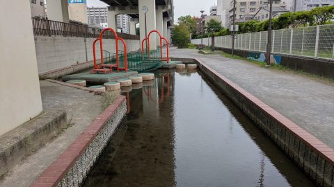 高速道路の高架下を流れる「竪川」の暗渠トレイル【プロハイカー斉藤正史の東京GREEN WAY  FILE.49】