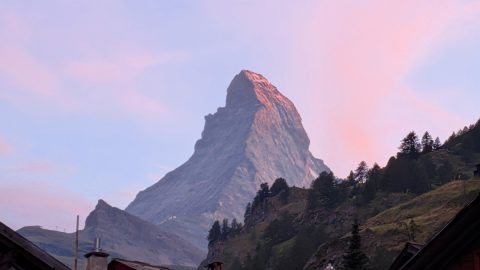 アルプスの楽園！マッターホルンを望むスイス・ツェルマットで楽しむ花と動物の絶景トレイル