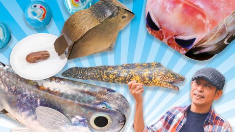 珍過ぎる!? “謎”のお土産も魅力！愛知県蒲郡・竹島水族館（タケスイ）についてもっともっと語りたい！