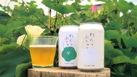 綿由来のビールが誕生！ オーガニックコットンブランド「プリスティン」がなぜビールを造るのか