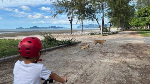 タイ中部・サムロイヨットの絶景ビーチロードを行く。親子で爽快ライドを満喫！のはずだったけど…