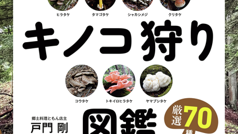 キノコ類、漁業、ネコ科動物、サラリーマン!?バラエティ豊かな新刊書籍4選