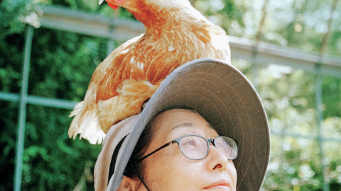思い通りにならないから面白い！動物との暮らし12年の内澤旬子さんに聞く