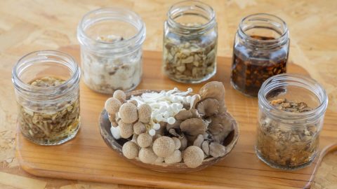 滋味深い旨みを味わう。きのこの「さしすせそ調味料」レシピ