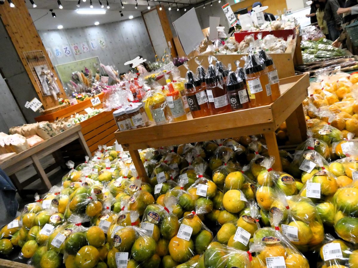 地場産のみかん