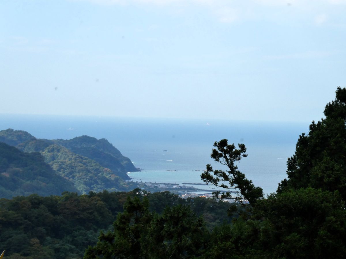 東京湾を望む