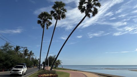海辺の一本道で意外な出会いが…？ タイ中部・パクナムプランのビーチロードを歩く